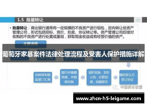 葡萄牙家暴案件法律处理流程及受害人保护措施详解