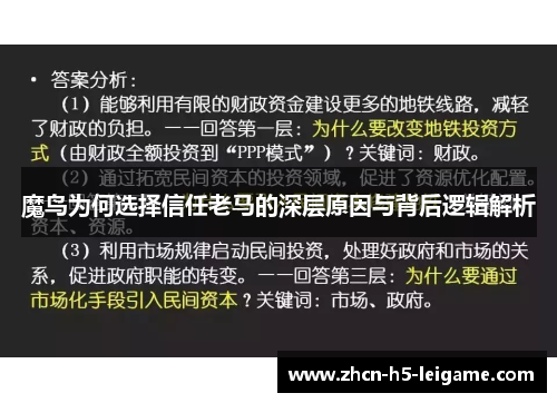 魔鸟为何选择信任老马的深层原因与背后逻辑解析 魔鸟为何选择信任老马的深层原因与背后逻辑解析